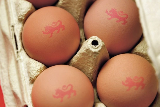 The British Lion stamp on eggs tells you alot more than just the best  before date - who knew about the numbering system to show whether they're  from caged or free-range hens? 