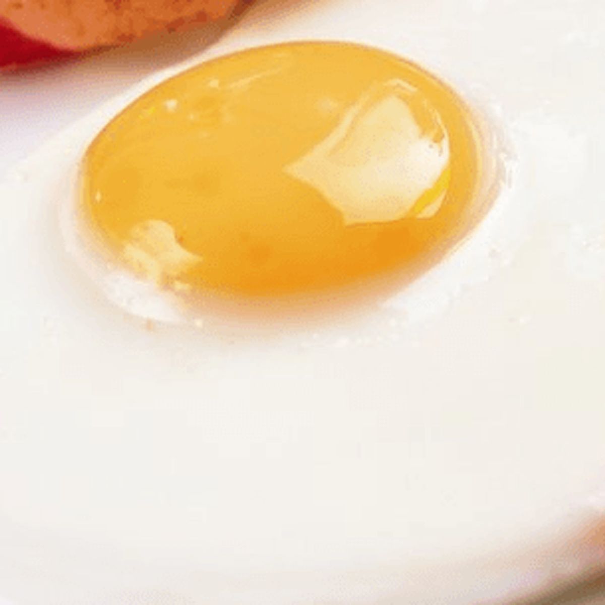 How to Fry an Egg