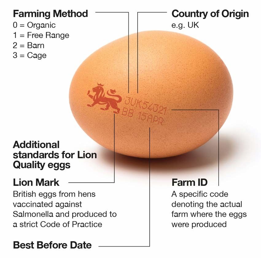 Egg Stamp Farm Egg, Chicken Egg Stamp, Stamps Eggs Date